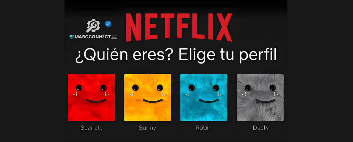 Netflix - Cuenta Completa