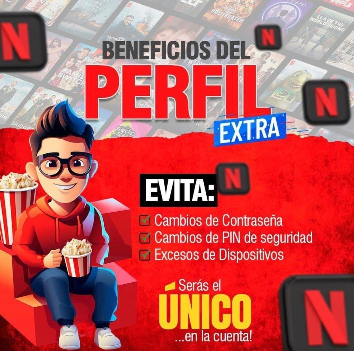 Perfil Extra Privado - Netflix